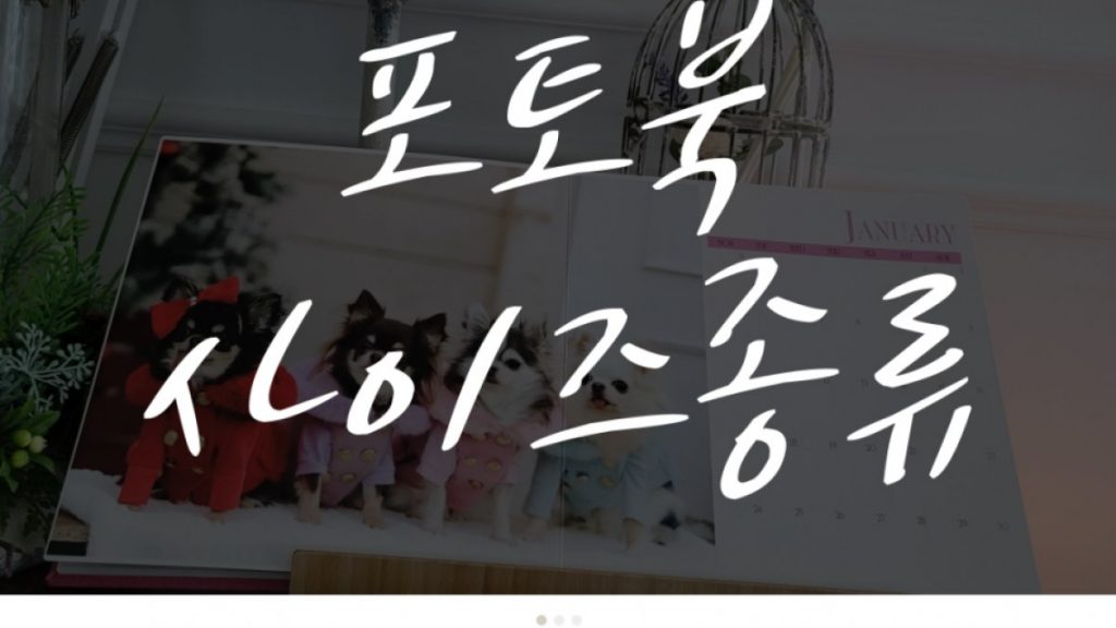 포토북 사이즈 종류 비교! 내게 맞는 포토북 고르기